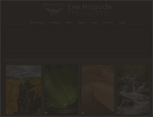 Tablet Screenshot of foxrunart.com